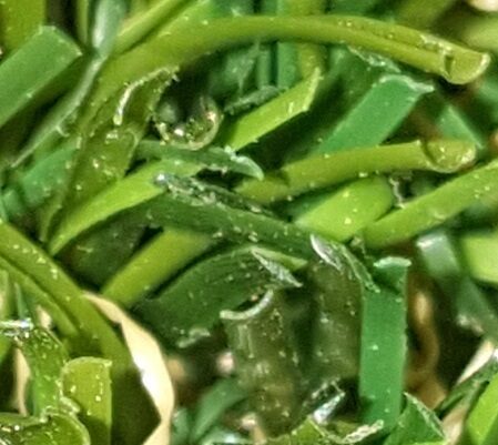 Forma filato erba sintetica Forma filato erba sintetica